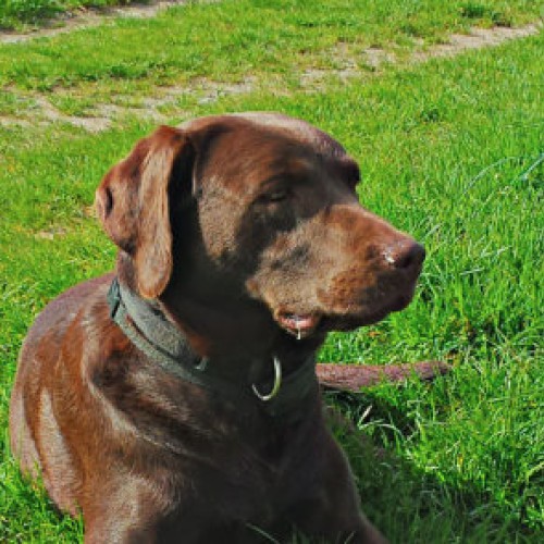 Bild von Unsere Damen
